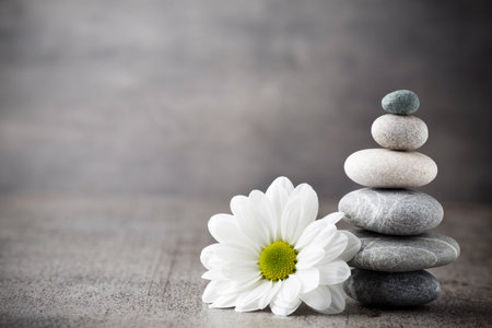 zen fleur Les pierres et les fleurs, zen comme concepts. Banque d